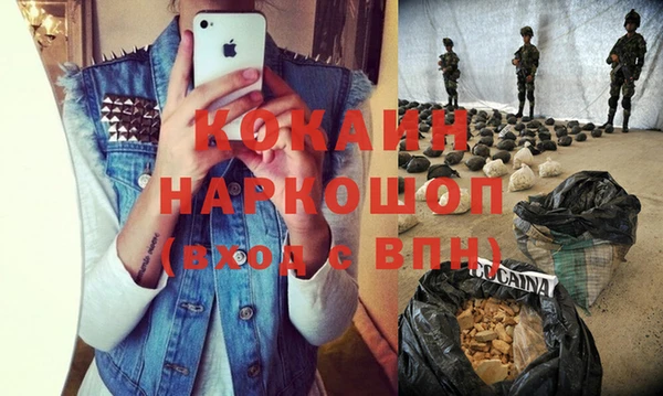 прущие грибы Касимов