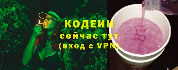 прущие грибы Касимов