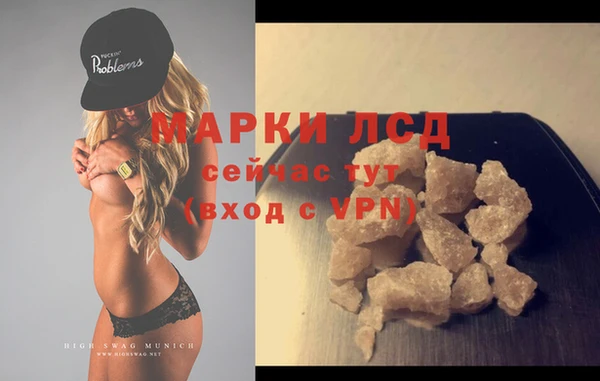 прущие грибы Касимов