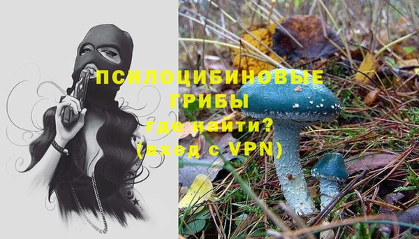 прущие грибы Касимов