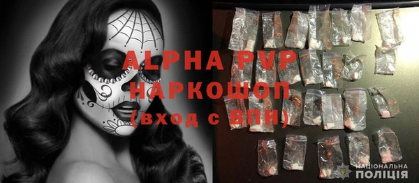 прущие грибы Касимов
