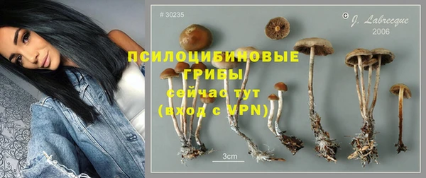 прущие грибы Касимов